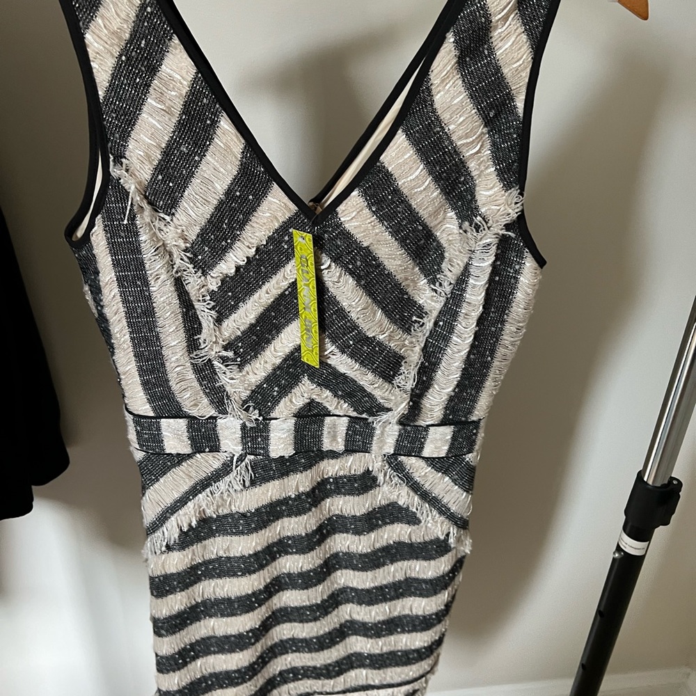 Gianni Bini new dress